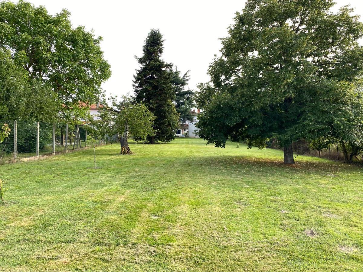 La Maison De Maxou Montauban Eksteriør billede